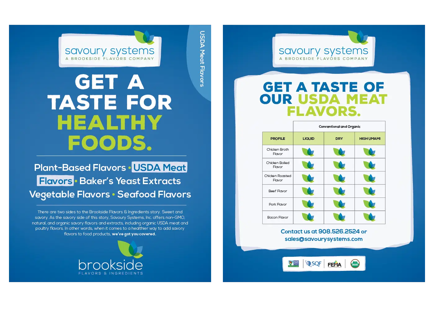 Savoury Good Taste Campaign Flyer USDA Meat