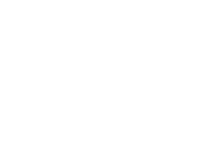 Big Brothers Big Sisters