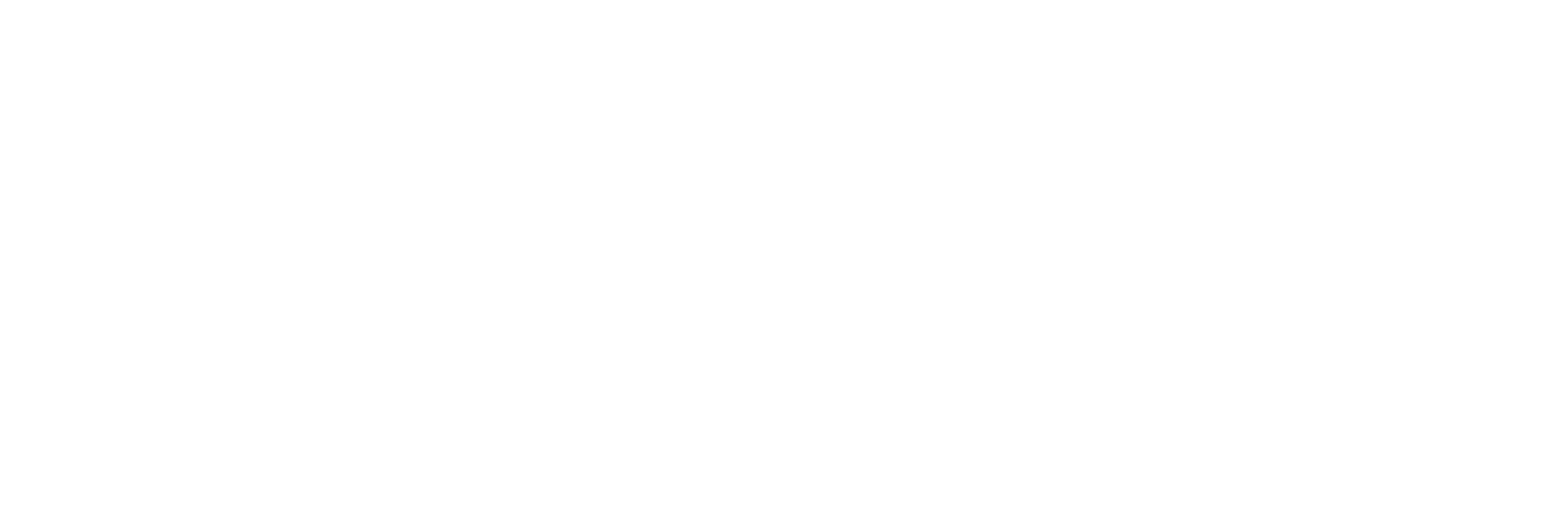 Savoury Systems