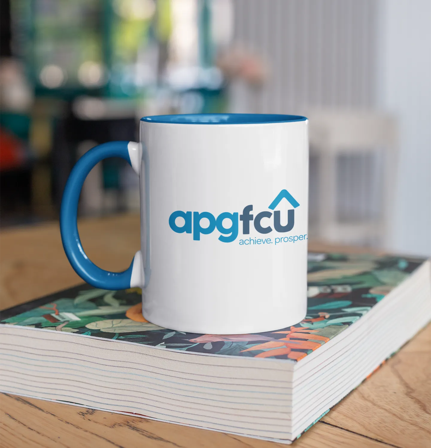 APGFCU Branding